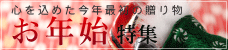 ��ǯ���ý�