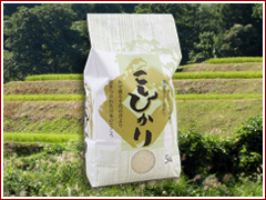 ���������������ҥ���