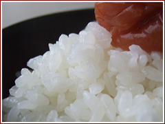 ���۸��ɴ����