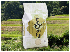 ���������������ҥ���