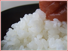 ���۸��ɴ����