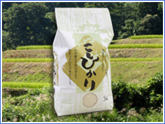 ���������������ҥ���